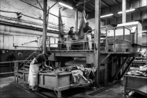 SEC_7067_NB_C_©_Studio_Erick_Saillet