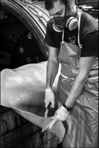 SEC_7169_NB_C_©_Studio_Erick_Saillet