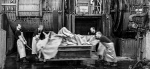 SEC_7181_NB_C_©_Studio_Erick_Saillet