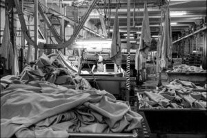 SEC_7402_NB_C_©_Studio_Erick_Saillet