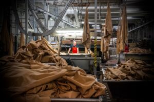 SEC_7402_©_Studio_Erick_Saillet