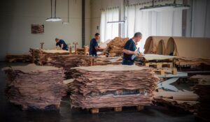 SEC_7500_©_Studio_Erick_Saillet