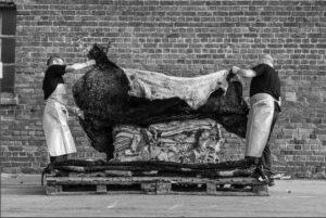 SEC_7824_NB_C_©_Studio_Erick_Saillet