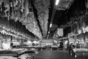 SEC_8196_NB_C_©_Studio_Erick_Saillet