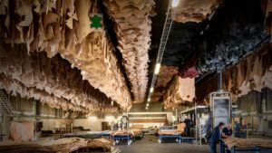 SEC_8196_©_Studio_Erick_Saillet