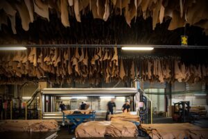 SEC_8201_©_Studio_Erick_Saillet